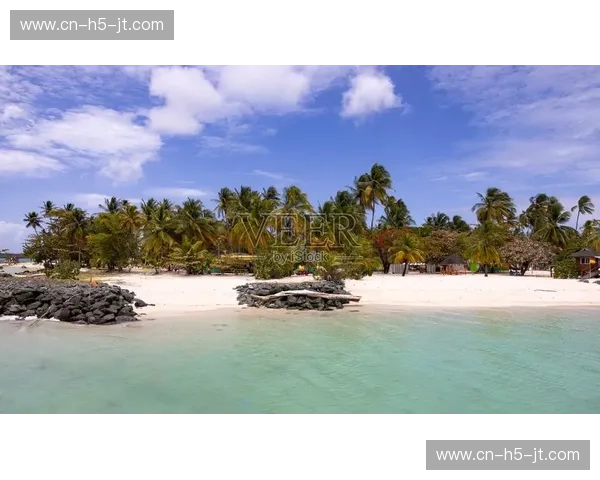 龙腾万里，南海之约：中国与特立尼达和多巴哥的深情对望